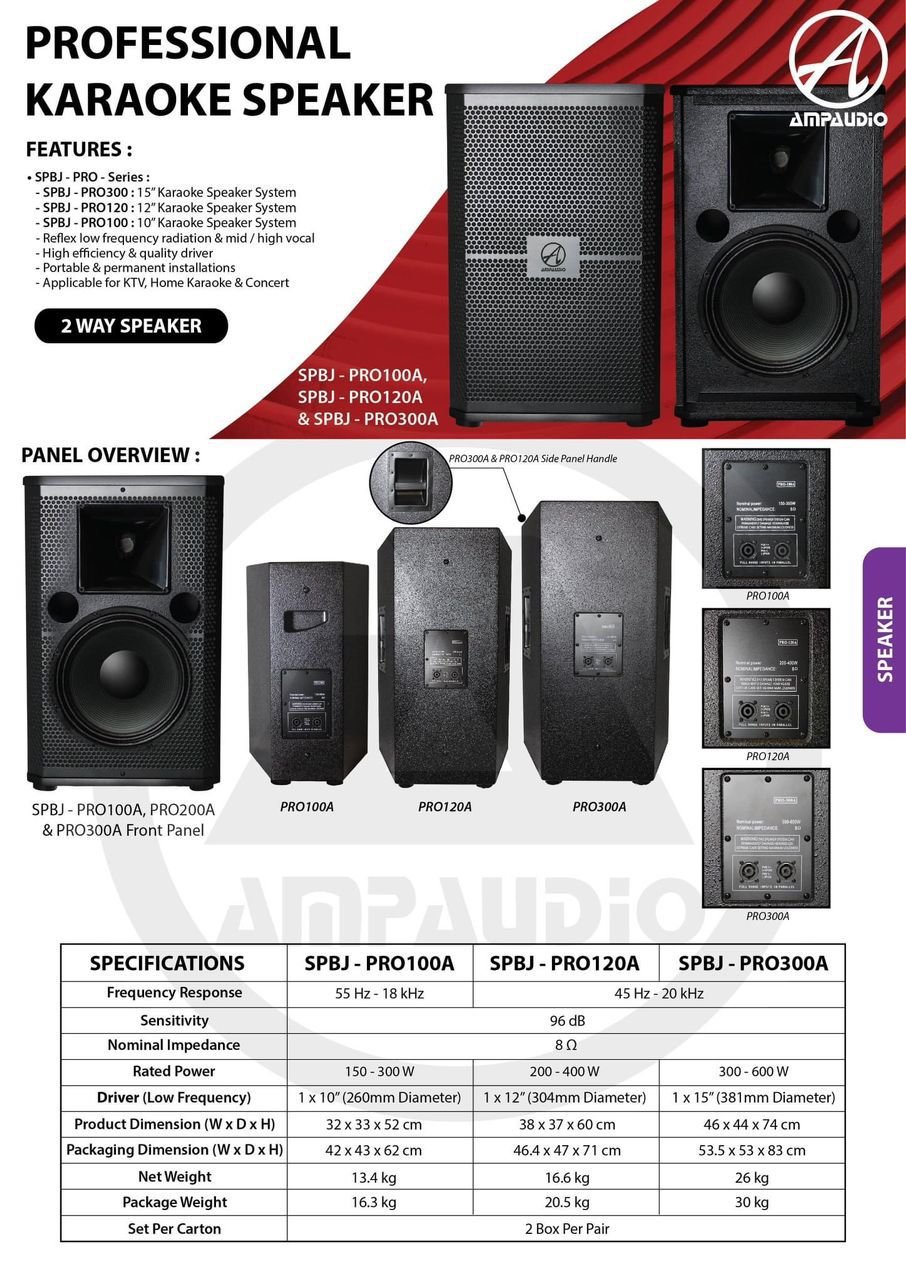 Karaoke PA System